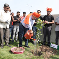 Tree Plantation Drive - Satara